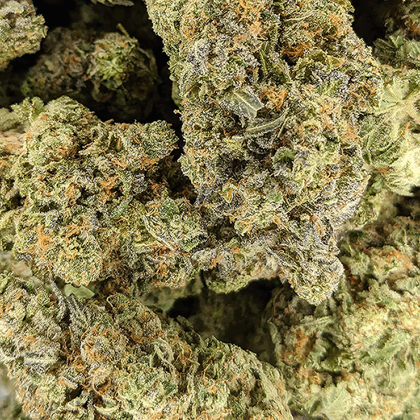 AAAA Runtz Strain