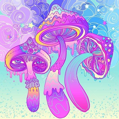 Hippie Flip Party Pack