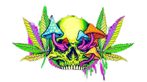 Cannabis Market Hub.