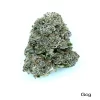 God’s Green Crack Strain (AAA+)