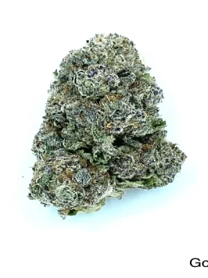 God’s Green Crack Strain (AAA+)
