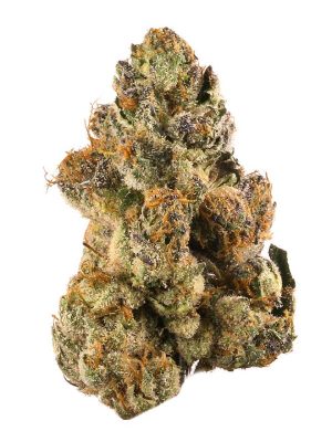Gelato Strain (AAAA)