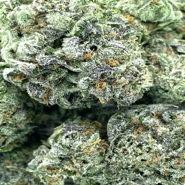 Mac One Strain (AAAA)